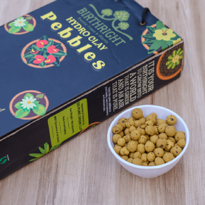 Birthright || Hydro Clay Pebbles || 2Kg Pack