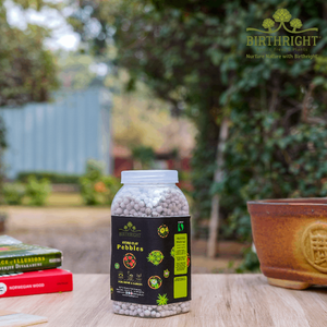 Birthright || Hydro Clay Pebbles || 500Gm Pack