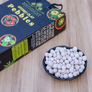 Birthright || Hydro Clay Pebbles || 1Kg Pack